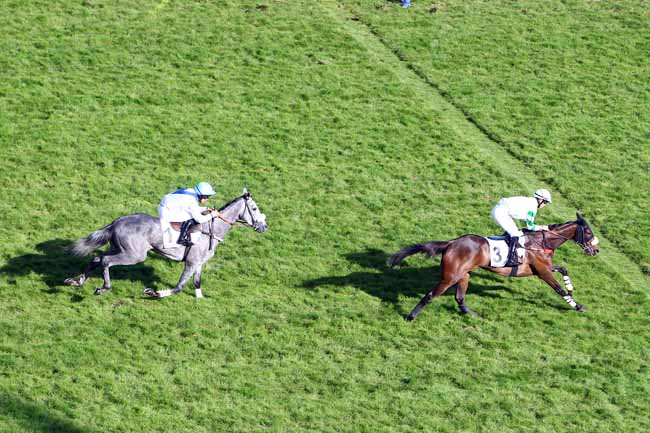 Photo d'arrivée de la course pmu PRIX D'IENA à AUTEUIL le Samedi 26 mai 2018