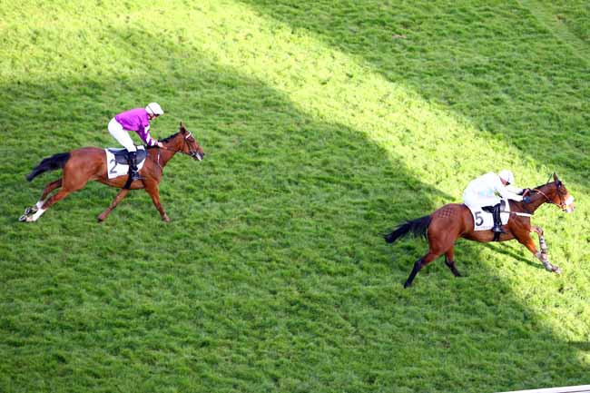 Photo d'arrivée de la course pmu PRIX DE SAINT-GERMAIN à AUTEUIL le Samedi 26 mai 2018