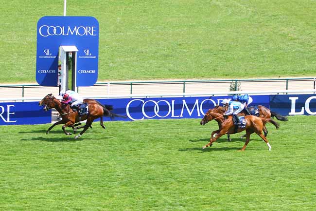 Photo d'arrivée de la course pmu THE GURKHA COOLMORE PRIX SAINT-ALARY à LONGCHAMP le Dimanche 27 mai 2018