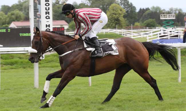 Photo d'arrivée de la course pmu PRIX KLEBER à STRASBOURG le Mardi 29 mai 2018