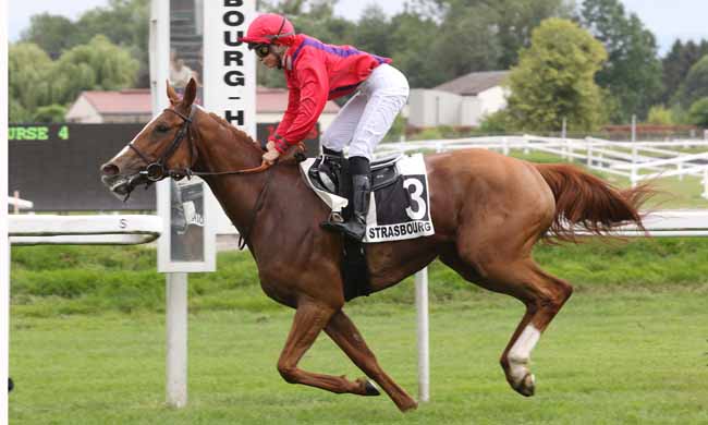 Photo d'arrivée de la course pmu PRIX NATHANAELLE ARTU à STRASBOURG le Mardi 29 mai 2018