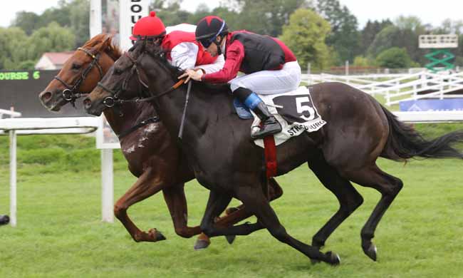 Photo d'arrivée de la course pmu PRIX GALLAUD-JOAILLIER.COM à STRASBOURG le Mardi 29 mai 2018