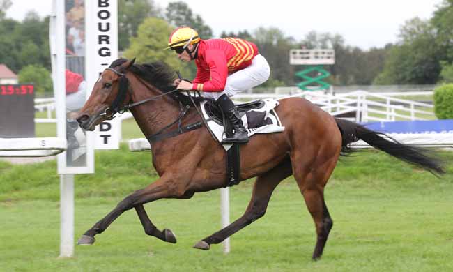Photo d'arrivée de la course pmu PRIX DU JAZZ à STRASBOURG le Mardi 29 mai 2018
