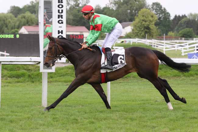 Photo d'arrivée de la course pmu PRIX DE LA VILLE DE STRASBOURG à STRASBOURG le Mardi 29 mai 2018