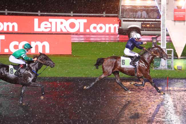Photo d'arrivée de la course pmu PRIX BUDROSA à PARIS-VINCENNES le Mardi 29 mai 2018