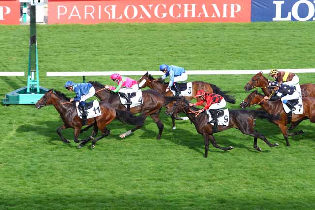Photo d'arrivée de la course pmu PRIX DU PETIT BOIS à LONGCHAMP le Jeudi 31 mai 2018