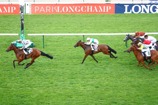 Photo d'arrivée de la course pmu PRIX DES BELLES FILLES à LONGCHAMP le Jeudi 31 mai 2018