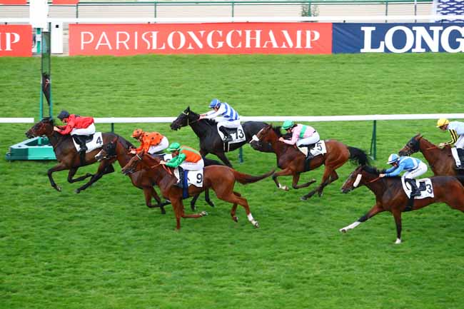Photo d'arrivée de la course pmu PRIX DU BOIS DU RUSSE à LONGCHAMP le Jeudi 31 mai 2018