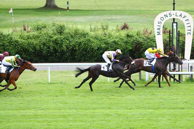 Photo d'arrivée de la course pmu PRIX REINE DU CHANT à MAISONS-LAFFITTE le Vendredi 1 juin 2018