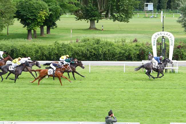 Photo d'arrivée de la course pmu PRIX DE LA PLACE MONTAIGNE à MAISONS-LAFFITTE le Vendredi 1 juin 2018
