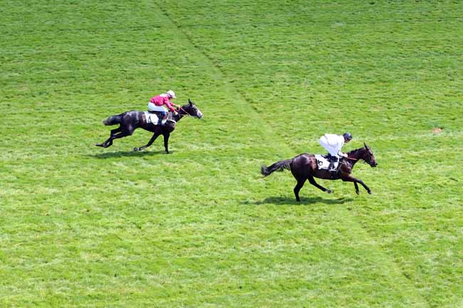 Photo d'arrivée de la course pmu PRIX BOIS ROUAUD à AUTEUIL le Lundi 4 juin 2018