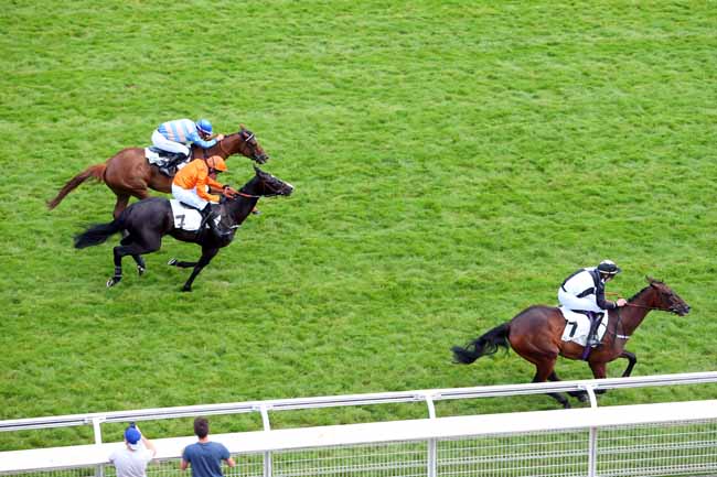 Photo d'arrivée de la course pmu PRIX TRINIDAD à AUTEUIL le Lundi 4 juin 2018