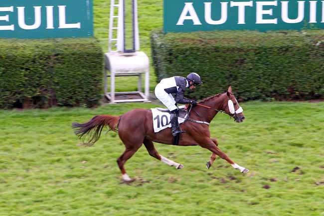 Photo d'arrivée de la course pmu PRIX QUO VADIS à AUTEUIL le Lundi 4 juin 2018