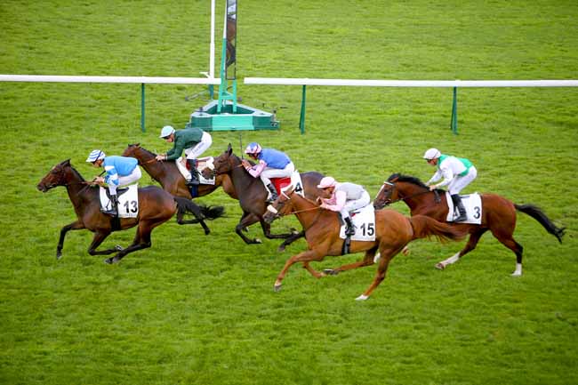 Photo d'arrivée de la course pmu PRIX DU PALAIS DU LOUVRE à LONGCHAMP le Jeudi 7 juin 2018