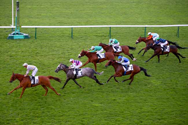 Photo d'arrivée de la course pmu PRIX DE LA GALERIE D'APOLLON à LONGCHAMP le Jeudi 7 juin 2018