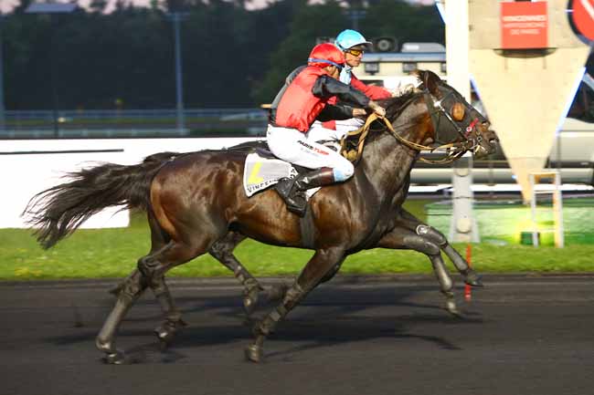 Photo d'arrivée de la course pmu PRIX ISTRIA à PARIS-VINCENNES le Vendredi 8 juin 2018