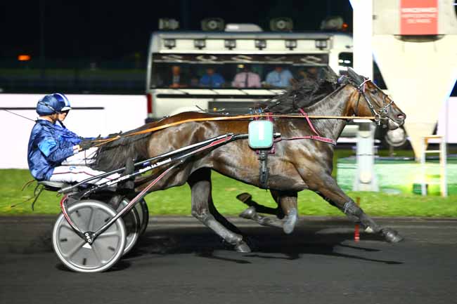 Photo d'arrivée de la course pmu PRIX ARA à PARIS-VINCENNES le Vendredi 8 juin 2018