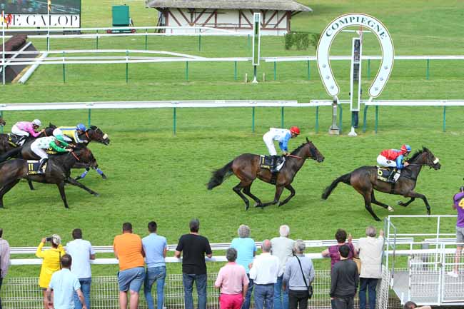 Photo d'arrivée de la course pmu PRIX DES FUTAIES à COMPIEGNE le Vendredi 8 juin 2018