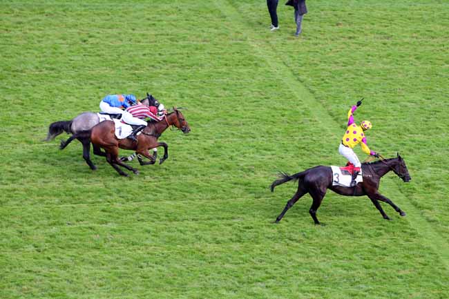Photo d'arrivée de la course pmu PRIX AGUADO à AUTEUIL le Samedi 9 juin 2018