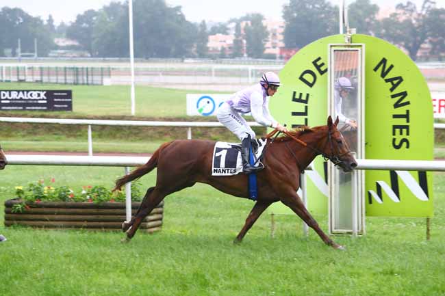 Photo d'arrivée de la course pmu PRIX DU PETIT PORT à NANTES le Mardi 12 juin 2018