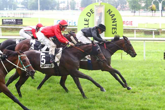 Photo d'arrivée de la course pmu PRIX ESPACES VERTS à NANTES le Mardi 12 juin 2018