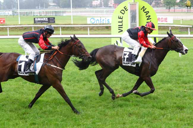 Photo d'arrivée de la course pmu PRIX DU VAL D'ERDRE à NANTES le Mardi 12 juin 2018