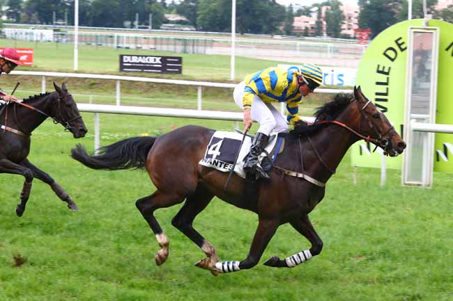 Photo d'arrivée de la course pmu PRIX GERALD DE ROCHEFORT à NANTES le Mardi 12 juin 2018