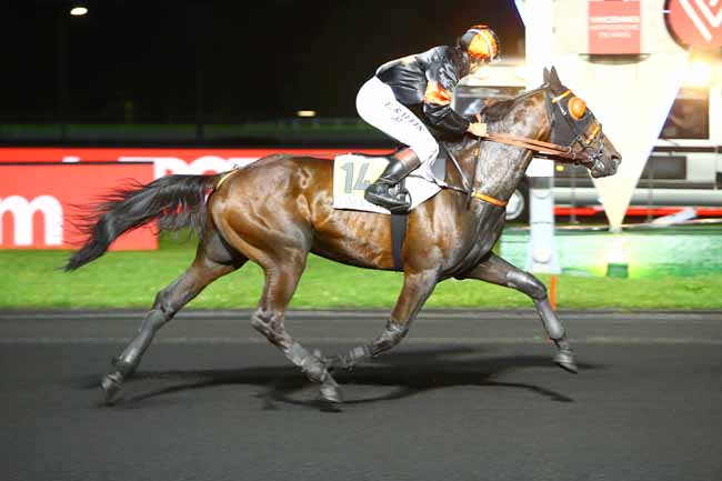 Photo d'arrivée de la course pmu PRIX TYCHE à PARIS-VINCENNES le Mardi 12 juin 2018