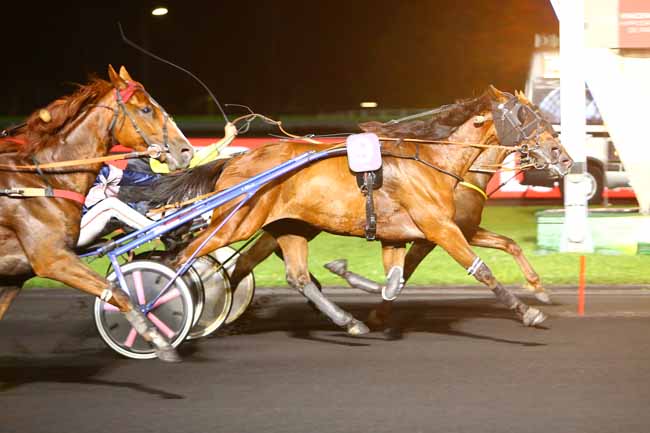 Photo d'arrivée de la course pmu PRIX ROSALIA à PARIS-VINCENNES le Mardi 12 juin 2018