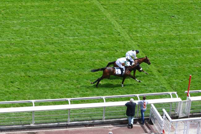 Photo d'arrivée de la course pmu PRIX SAGAN à AUTEUIL le Mercredi 13 juin 2018