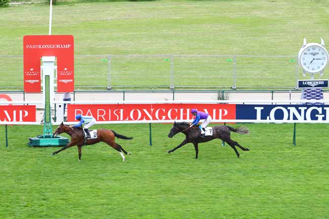 Photo d'arrivée de la course pmu PRIX RIDGWAY à LONGCHAMP le Jeudi 14 juin 2018