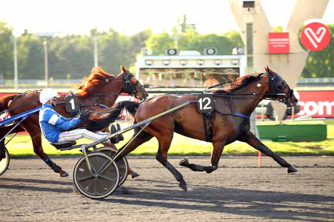 Photo d'arrivée de la course pmu PRIX TOLOSA à PARIS-VINCENNES le Vendredi 15 juin 2018
