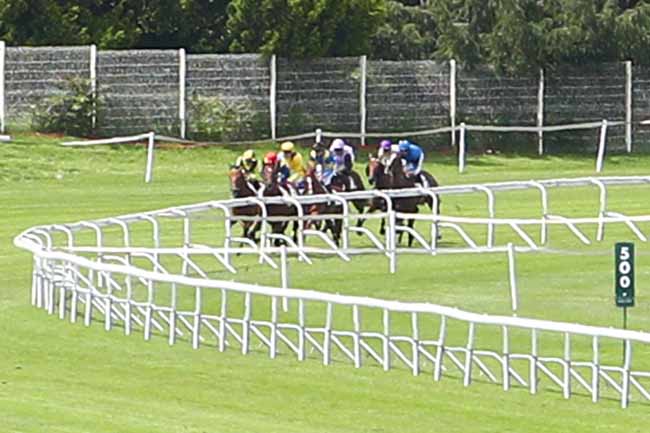 Photo d'arrivée de la course pmu PRIX DU LABOURET à SAINT-CLOUD le Vendredi 15 juin 2018