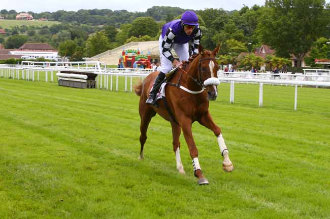 Photo d'arrivée de la course pmu PRIX REVENGE à CLAIREFONTAINE le Lundi 18 juin 2018