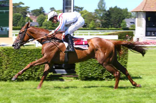 Photo d'arrivée de la course pmu PRIX JASON à CLAIREFONTAINE le Lundi 18 juin 2018