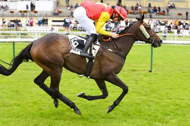 Photo d'arrivée de la course pmu PRIX BONTEMPS à DIEPPE le Mardi 19 juin 2018