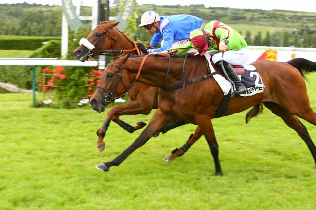 Photo d'arrivée de la course pmu PRIX DU CENTRE COMMERCIAL DU BELVEDERE DE DIEPPE à DIEPPE le Mardi 19 juin 2018