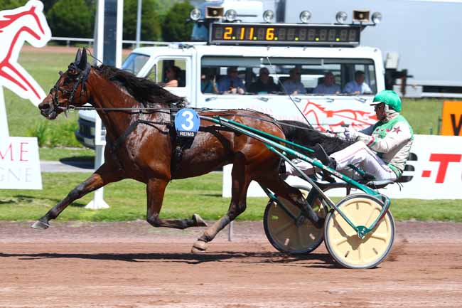 Photo d'arrivée de la course pmu PRIX JACQUES MOREAU à REIMS le Mercredi 20 juin 2018