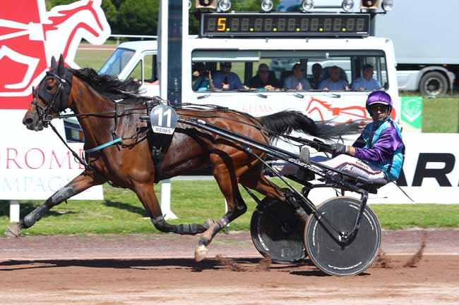 Photo d'arrivée de la course pmu PRIX DU CHAMPAGNE PALMER à REIMS le Mercredi 20 juin 2018