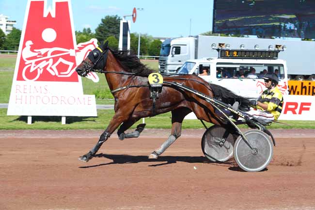 Photo d'arrivée de la course pmu PRIX JULIEN CORNET à REIMS le Mercredi 20 juin 2018