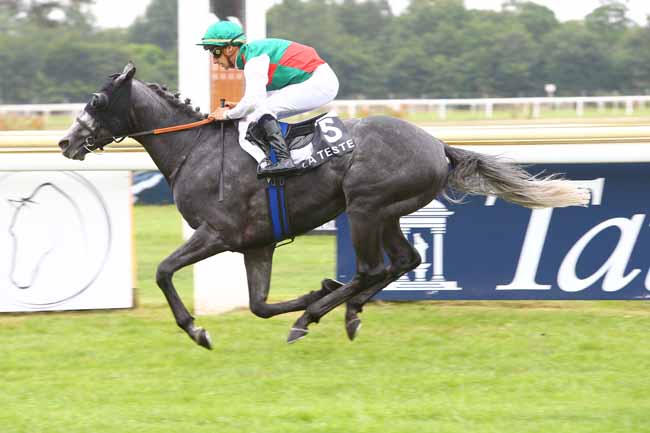 Photo d'arrivée de la course pmu PRIX DESTRAC IMMOBILIER à LA TESTE DE BUCH le Jeudi 21 juin 2018