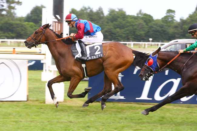 Photo d'arrivée de la course pmu PRIX FOIE GRAS BIRABEN à LA TESTE DE BUCH le Jeudi 21 juin 2018