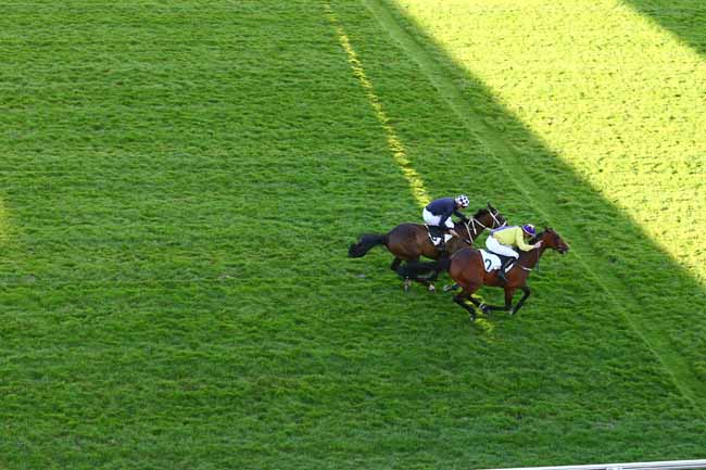 Photo d'arrivée de la course pmu PRIX DU VESINET à AUTEUIL le Jeudi 21 juin 2018