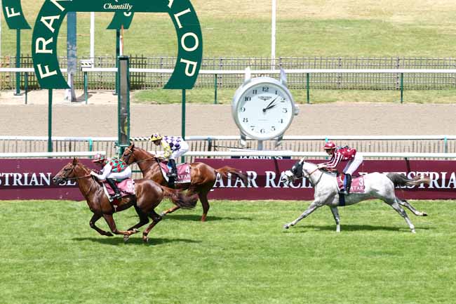 Photo d'arrivée de la course pmu QATAR COUPE DE FRANCE DES CHEVAUX ARABES à CHANTILLY le Vendredi 22 juin 2018