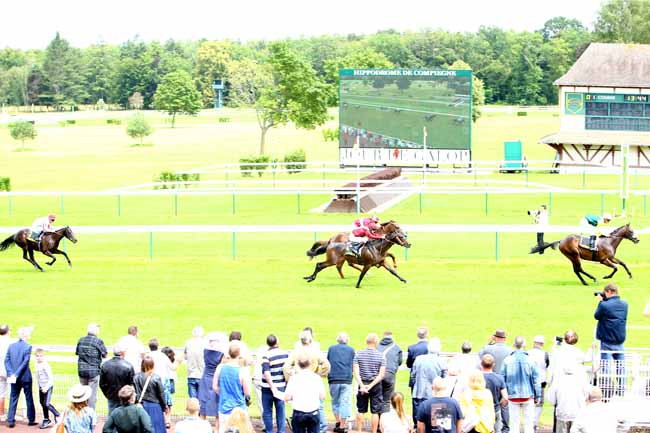 Photo d'arrivée de la course pmu PRIX DE LA FORET DE LAIGUE à COMPIEGNE le Samedi 23 juin 2018