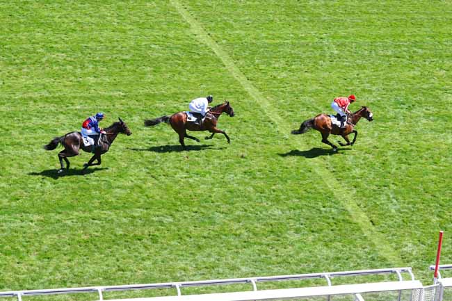 Photo d'arrivée de la course pmu PRIX DAWN RUN à AUTEUIL le Mardi 26 juin 2018