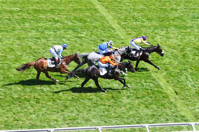 Photo d'arrivée de la course pmu PRIX DE CHANTILLY à AUTEUIL le Mardi 26 juin 2018