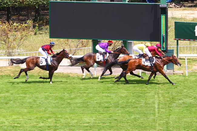 Photo d'arrivée de la course pmu PRIX DE SAINT-PATRICK à SAINT-CLOUD le Dimanche 1 juillet 2018