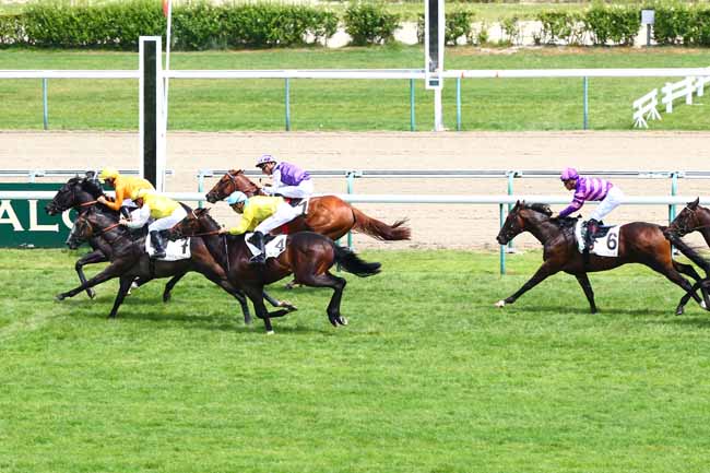 Photo d'arrivée de la course pmu PRIX DE TICHEVILLE à DEAUVILLE le Mercredi 4 juillet 2018