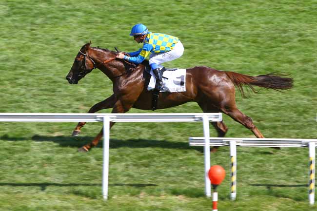 Photo d'arrivée de la course pmu PRIX PHARAMOND à MAISONS-LAFFITTE le Vendredi 6 juillet 2018
